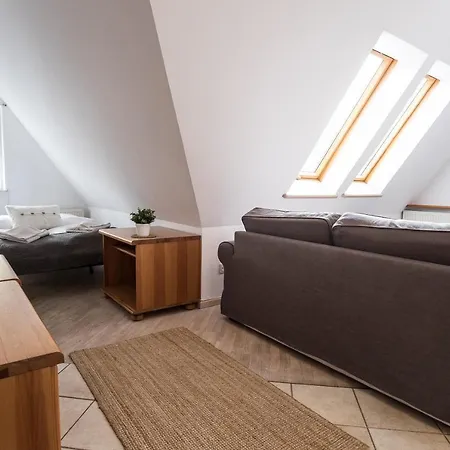 Pod Dachem W Centrum Apartzakop Zakopane