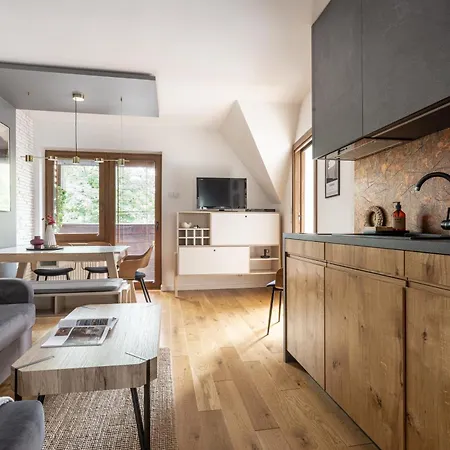 Apartment Pod Dachem W Centrum Apartzakop Zakopane