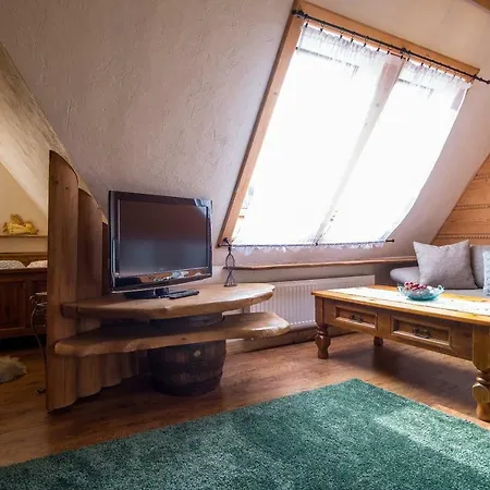 Pod Dachem W Centrum Apartzakop Zakopane